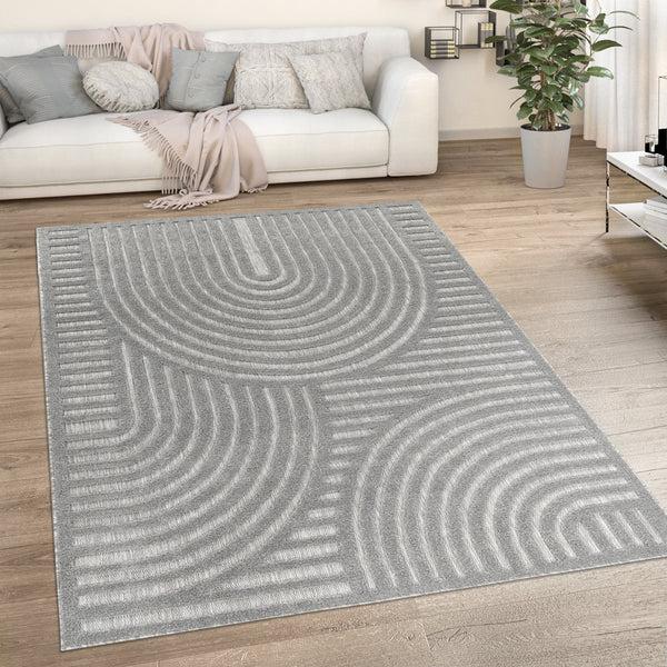 Paco Home LIVORNO 674 GREY Rugs