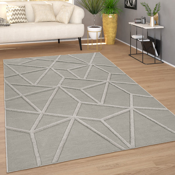 paco home LUGA 533 GREY Rugs
