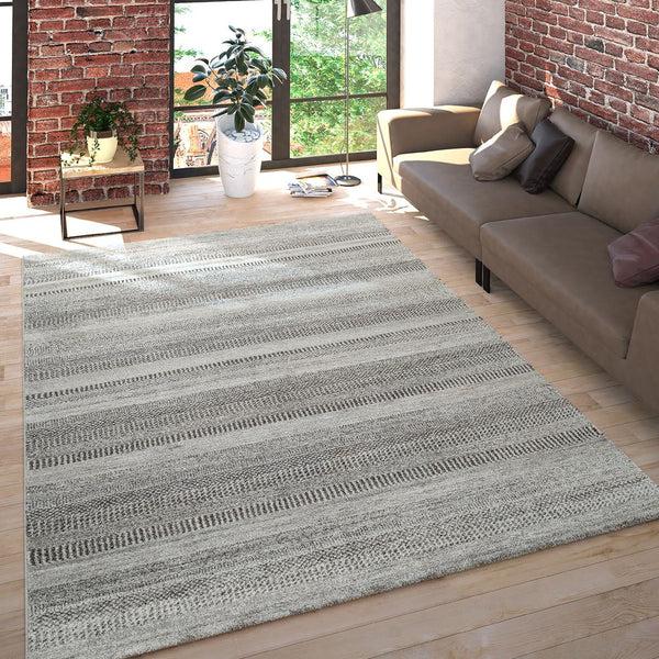 paco home MIRO 451 GREY Rugs