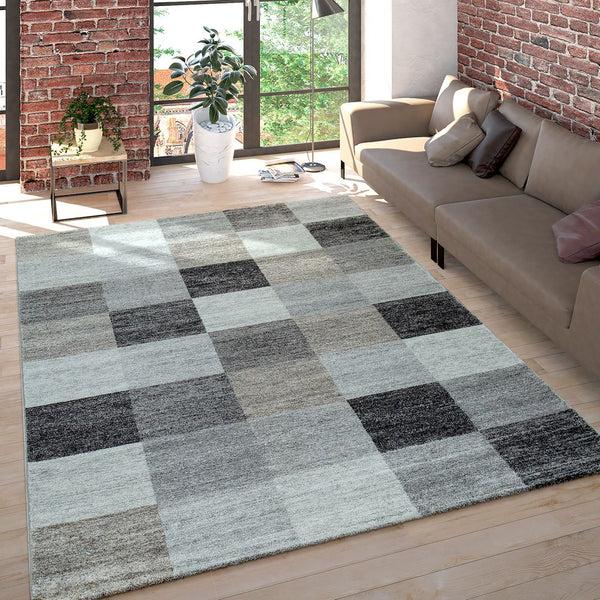 paco home MIRO 453 MULTICOLORED Rugs