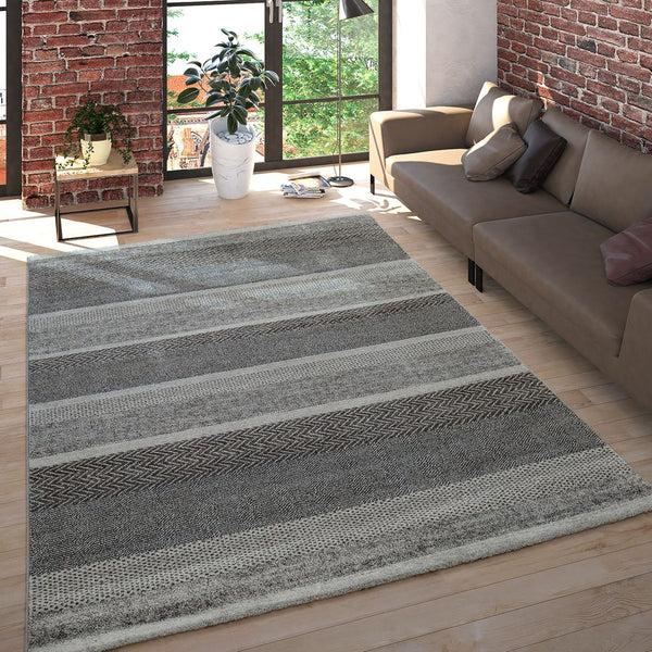 paco home MIRO 454 MULTICOLORED Rugs