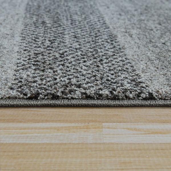 Paco Home MIRO 455 MULTICOLORED Rugs