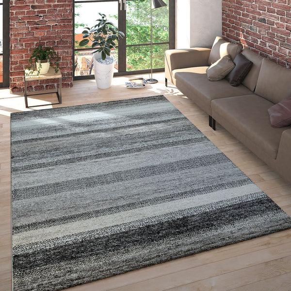 paco home MIRO 455 MULTICOLORED Rugs