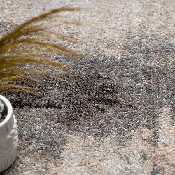 Paco Home MONA 431 MULTICOLORED Rugs