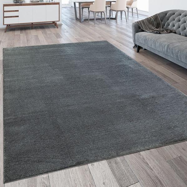 paco home MONTANA 410 ANTHRACITE Rugs
