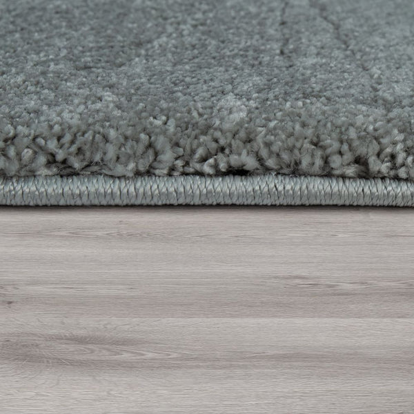 Paco Home MONTANA 424 SILVER Rugs