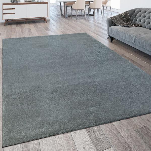 paco home MONTANA 424 SILVER Rugs