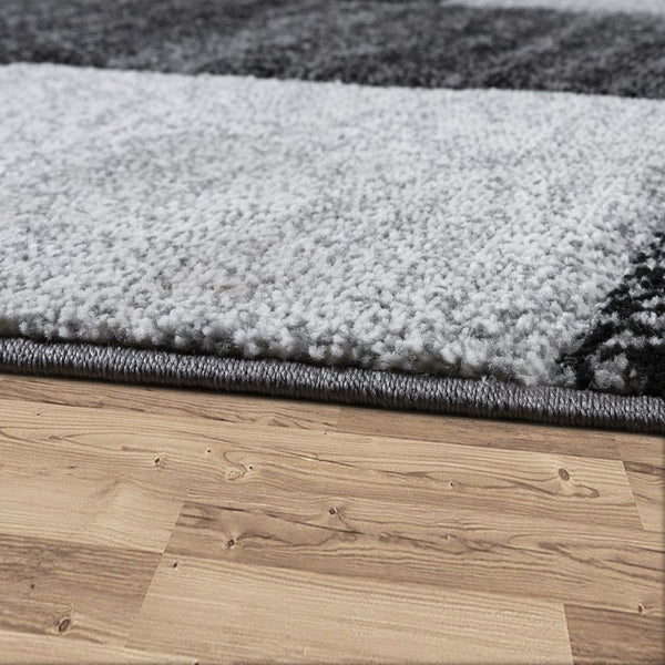 Paco Home NATURA 830 GREY Rugs