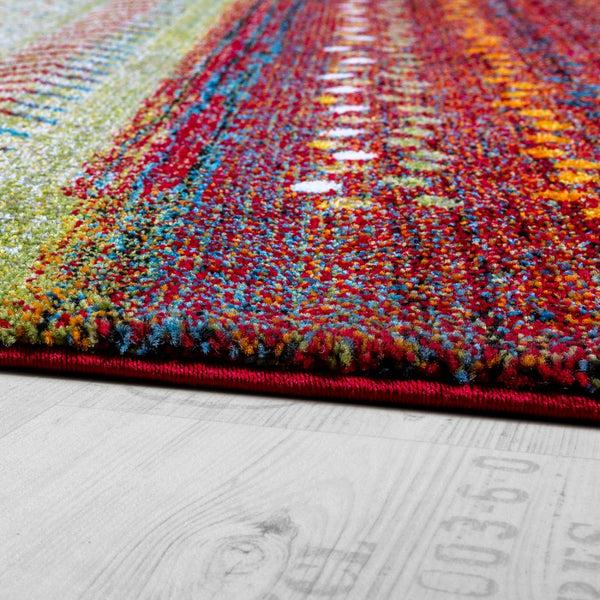 Paco Home NOMADEN 818 MULTICOLORED Rugs