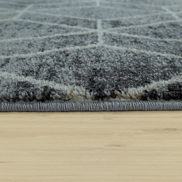 Paco Home PATTERN 122 GREY Rugs