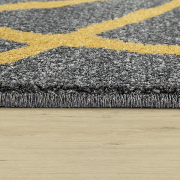 Paco Home PATTERN 127 GREY Rugs