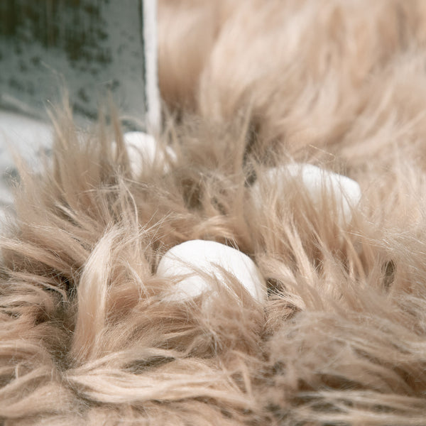 Paco Home PLAYA 960 BEIGE Rugs