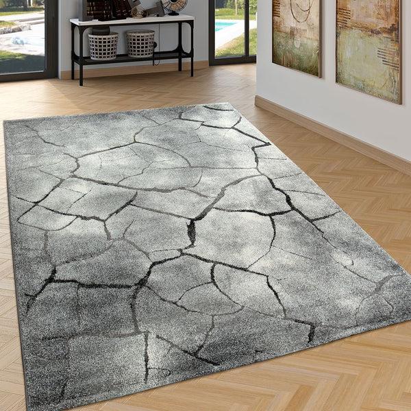 paco home RODOS 007 GREY Rugs