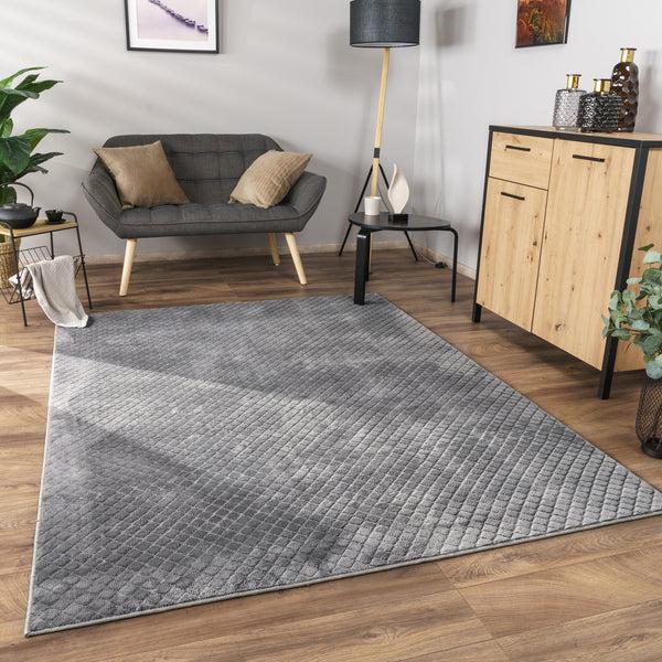 paco home ROTTERDAM 591 ANTHRACITE Rugs