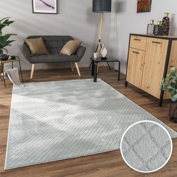 Paco Home ROTTERDAM 591 GREY Rugs