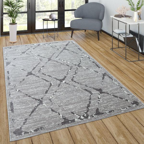 paco home SINAI 082 GREY Rugs