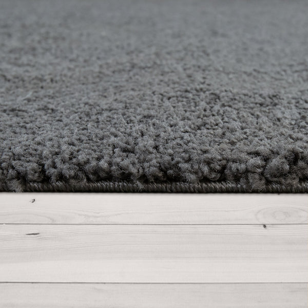 Paco Home SKY 250 ANTHRACITE Rugs
