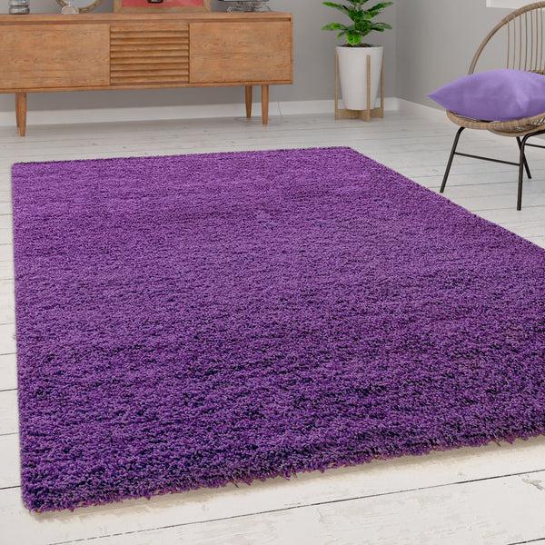 paco home SKY 250 PURPLE Rugs