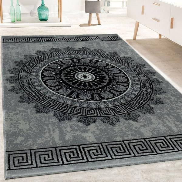 paco home TIBESTI 5081 GREY Rugs