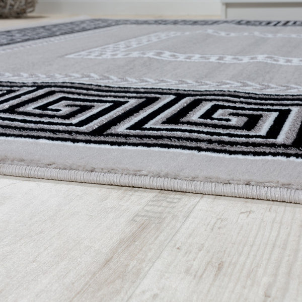 Paco Home TIVAGO 813 GREY Rugs