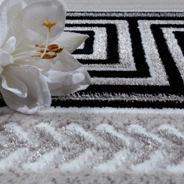 Paco Home TIVAGO 813 GREY Rugs