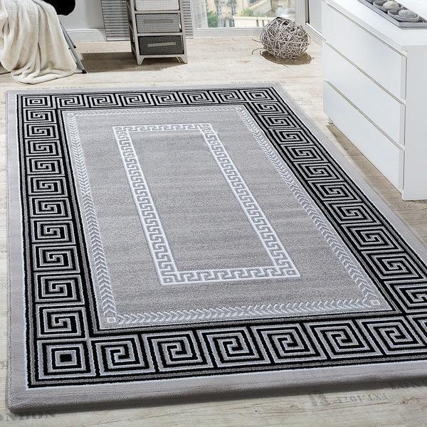 paco home TIVAGO 813 GREY Rugs