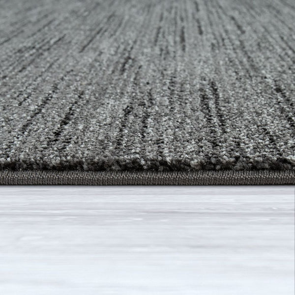 Paco Home WINCHESTER 1216 ANTHRACITE Rugs