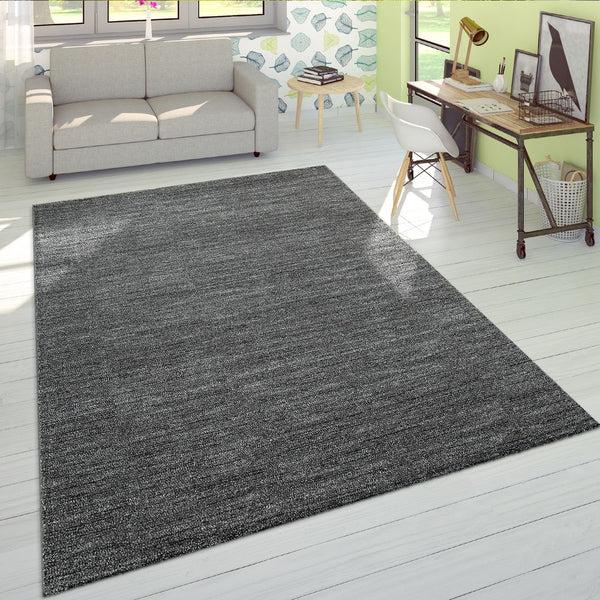 paco home WINCHESTER 1216 ANTHRACITE Rugs
