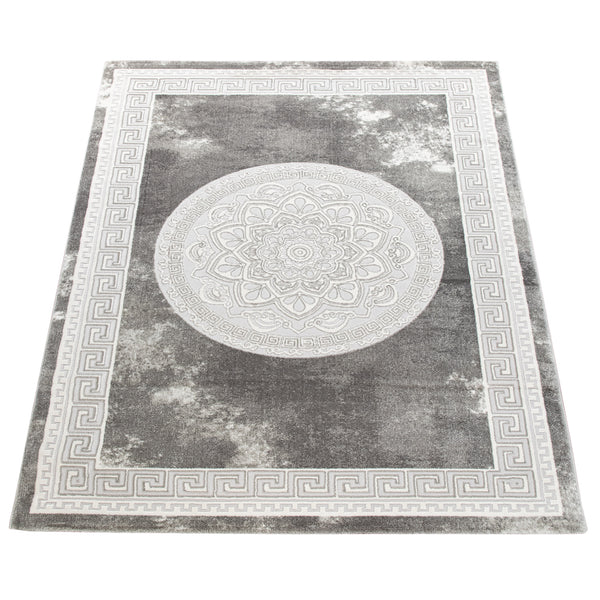 Paco Home ZAMAN 171 GREY Rugs
