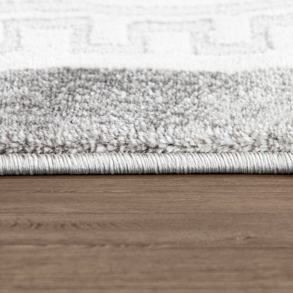 Paco Home ZAMAN 171 GREY Rugs