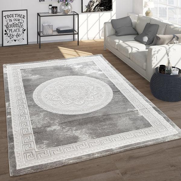 paco home ZAMAN 171 GREY Rugs