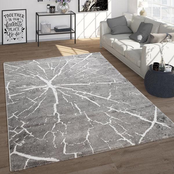 paco home ZAMAN 172 GREY Rugs