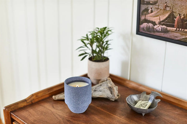 Paddywax Acadia - 11 Oz Candle