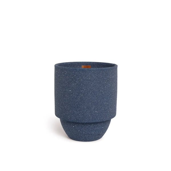 paddywax Acadia - 11 oz Candle