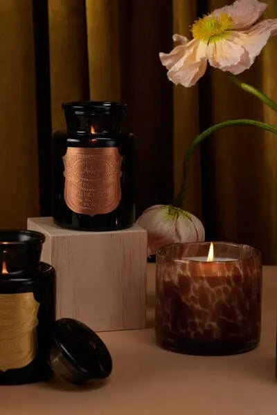 Paddywax Baltic Ember - 8 Oz Candle