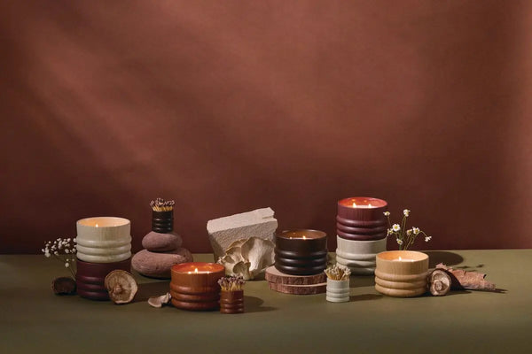 Paddywax Bergamot & Mahogany - 12 Oz Candle