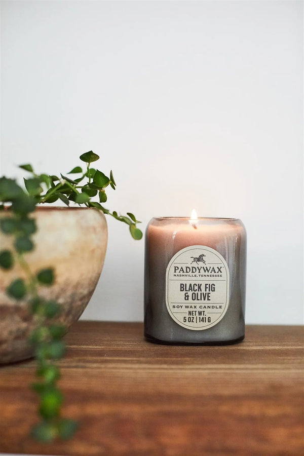 Paddywax Black Fig & Olive - 5 Oz Candle