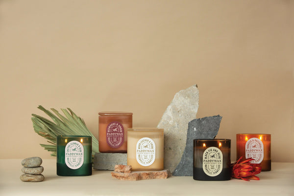 Paddywax Cactus Flower + Aloe - 12 Oz Candle