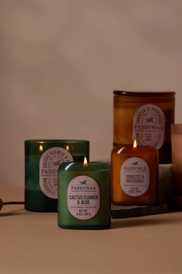 Paddywax Cactus Flower & Aloe - 5 Oz Candle