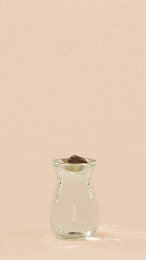 Paddywax Flora 4 Oz Diffuser - Sea Salt