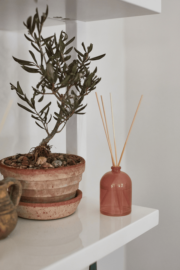 Paddywax Grapefruit - 1.5 Oz Diffuser