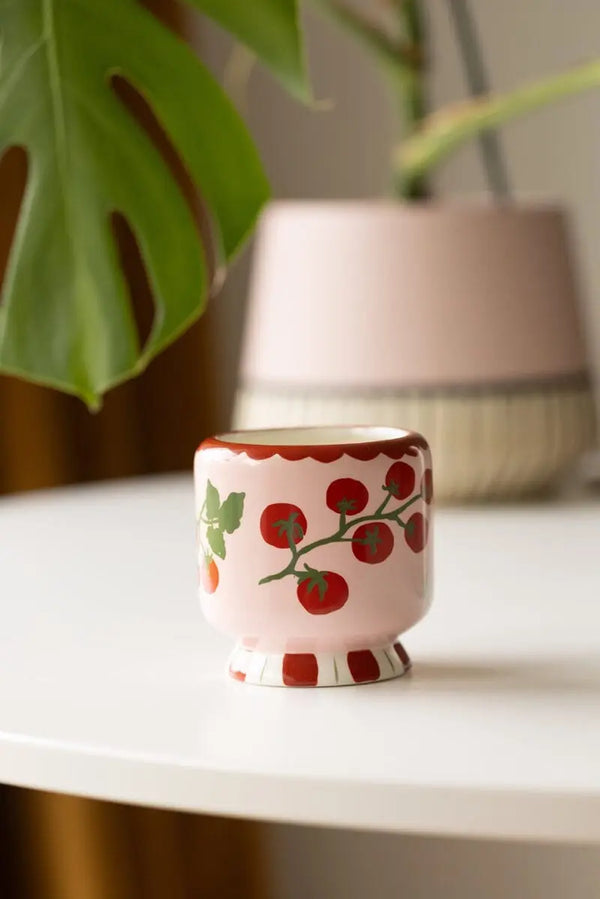 Paddywax Heirloom Tomato - 8 Oz Candle