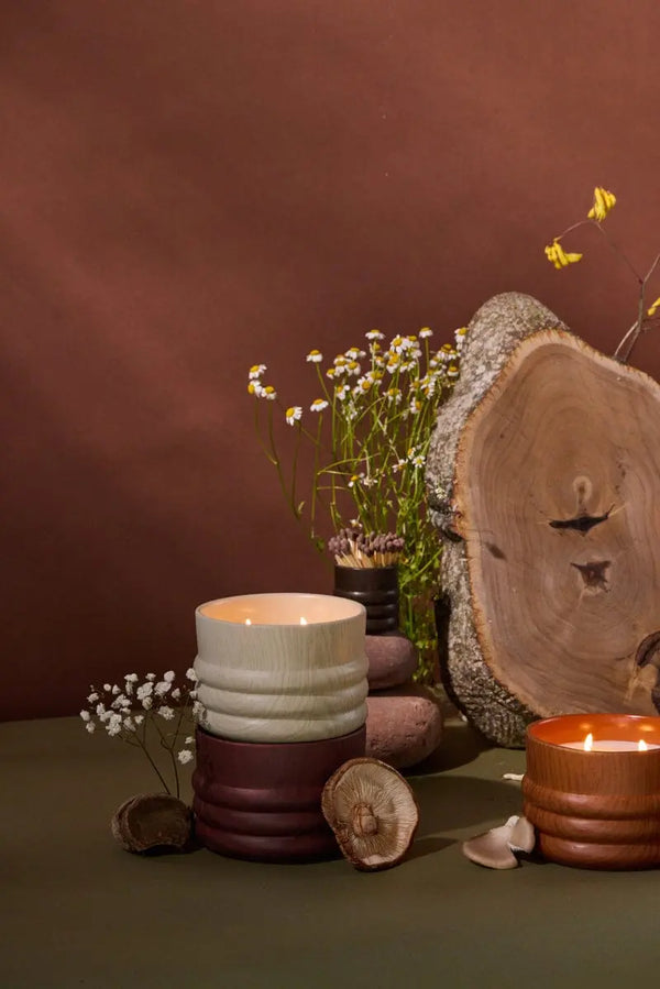 Paddywax Hinoki Driftwood - 12 Oz Candle