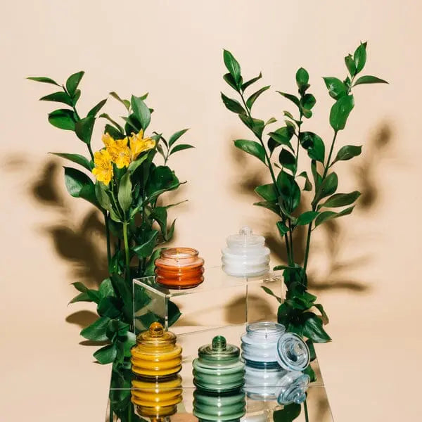 Paddywax Misted Lime - 3 Oz Candle