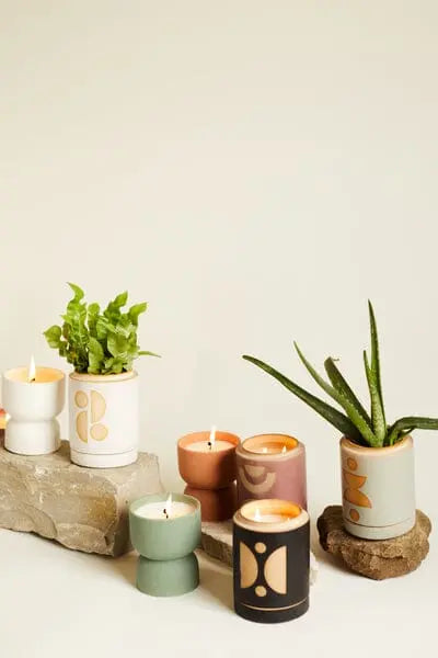 Paddywax Ocean Rose & Bay - 6 Oz Candle