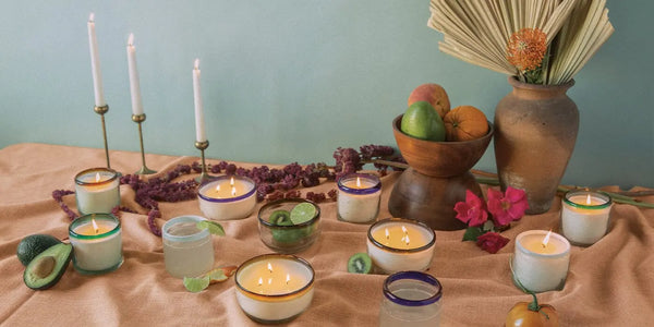 Paddywax Salted Blue Agave - 9 Oz Candle