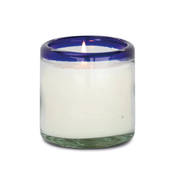 paddywax Salted Blue Agave - 9 oz Candle