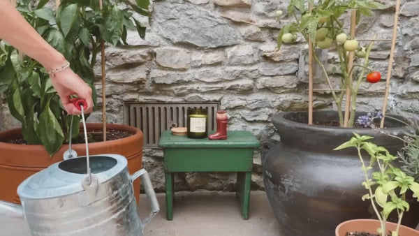 Paddywax Wellington Boot Matches - Dark Green