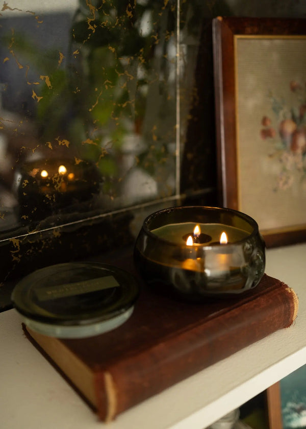 Paddywax Wild Fig & Cedar - 10 Oz Candle