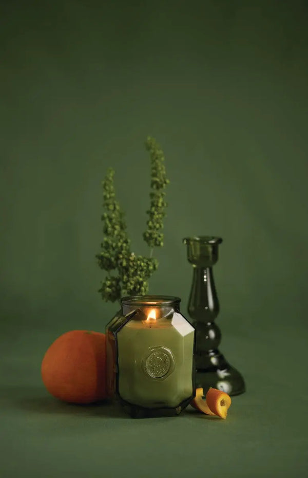 Paddywax Wild Neroli - 8 Oz Candle